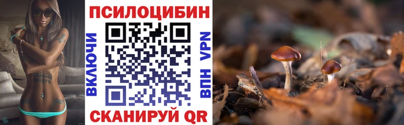 Купить  Волжский  Псилоцибиновые грибы мицелий 